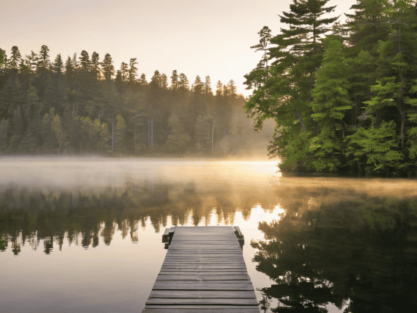 The Brain Break: Why You Need a Cognitive Sabbatical Every Year
